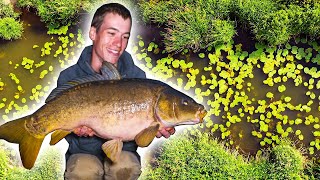 Carp Fishing on the River  an EPIC start to our fishing season [upl. by Mackintosh]