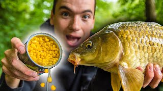 How To Catch Carp With Corn Easy and cheap bait for carp fishing [upl. by Eical]