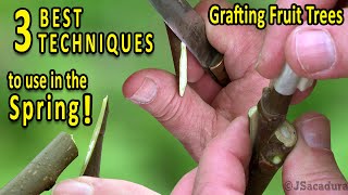 Grafting Fruit Trees  The 3 BEST Grafting Techniques for SPRING [upl. by Ailaht]