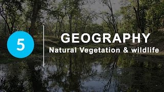 Natural Vegetation and Wildlife  Chapter 5 Geography NCERT class 9 [upl. by Lesly]