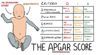 APGAR Score Made Easy  Newborn Assessment APGAR Mnemonic [upl. by Benedict]