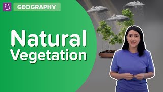 Natural Vegetation  Class 8  Geography  Learn With BYJUS [upl. by Oxley79]