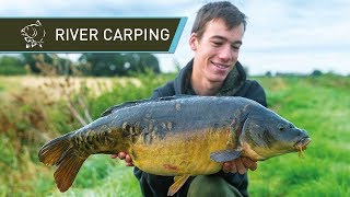 River Carp Fishing for BEAUTIFUL Carp [upl. by Esoj]