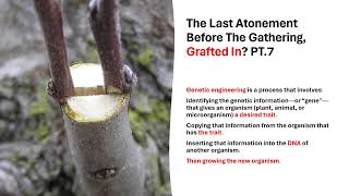 The Last Atonement Before The Gathering Grafted In PT7 [upl. by Sutherlan]