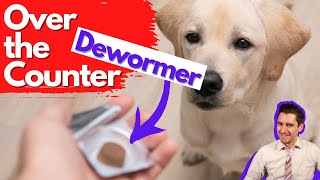 Over the Counter Dog Dewormer Dr Dan talks dewormers [upl. by Ahsienak]