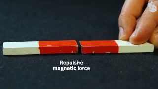 Video Lab Magnetic forces [upl. by Ylrebmik]