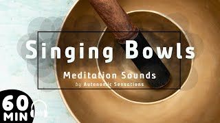 60 Minuten Meditatie Singing Bowls 🎵 Ontspanning Rustgevende Sound klankschaal Muziek [upl. by Yendahc131]