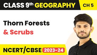 Thorn Forests amp Scrubs  Natural Vegetation amp Wildlife Chapter 5  Class 9 SST Geography [upl. by Grannie]