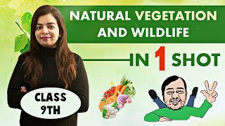 Natural Vegetation and Wildlife  FULL CHAPTER  Class 9  NCERT  Sprint [upl. by Ormond]