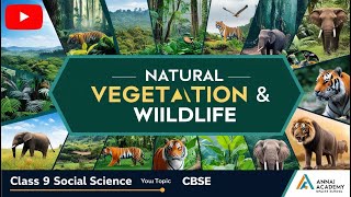 Explore Nature’s Wonders Natural Vegetation amp Wildlife  Class 9 CBSE [upl. by Ynaffi]