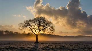 Ontspanningsmuziek rustgevende muziek  Meditatie  Slaap  Relax [upl. by Trillby]