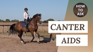 Canter Transitions  How To Ask For Canter [upl. by Alexandria57]