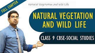 Natural Vegetation and wild Life full lesson  Social studies  Class 9  CBSE Syllabus [upl. by Sev]