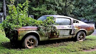 25 CARROS ABANDONADOS QUE VOCÊ NÃO VAI ACREDITAR [upl. by Gnouhp]