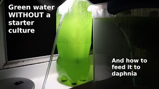 Green Water WITHOUT a Starter Culture  From Scratch  How To [upl. by Brasca71]