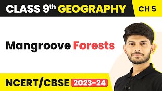 Class 9 Geography Chapter 5 Mangroove Forests Natural Vegetation amp Wildlife CBSENCERT [upl. by Mayhew]